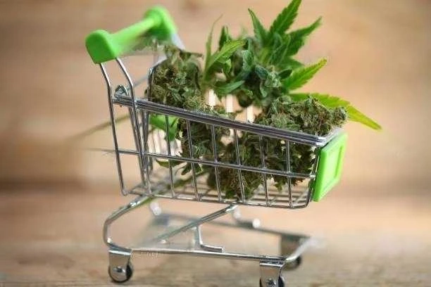 Doorstep Cannabis: The Benefits of Weed Delivery for Hamilton Residents