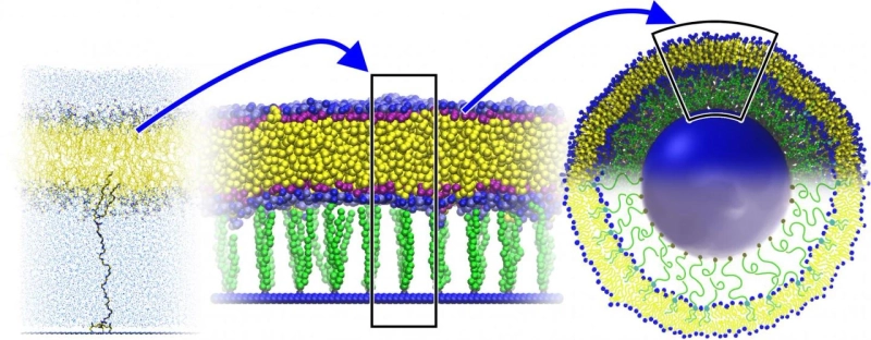 Distincting and regulating lipid concentrations in food by Lipid Analysis Devices