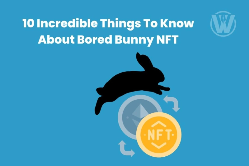 Bored Bunny NFT: 10 Incredible Things To Know About It