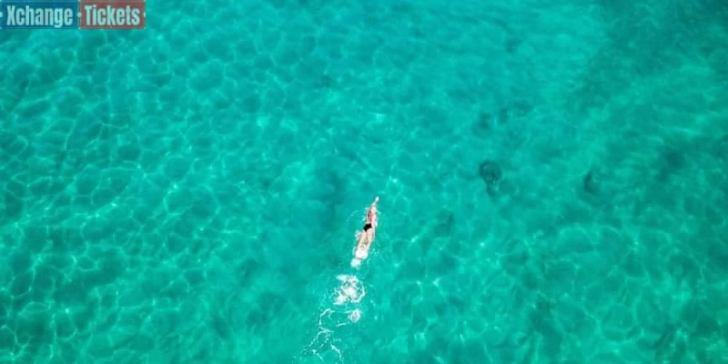 Olympic Marathon Swimming - How Hard is it to Swim a Marathon?