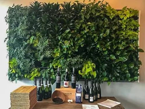 How to Choose the Right Indoor Green Wall System