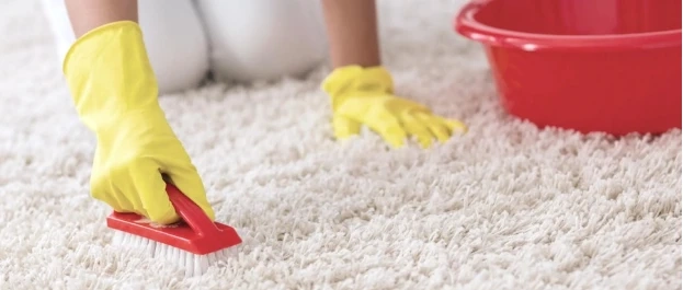 Tarif Nettoyage Tapis : Comment Économiser de l'Argent tout en Obtenant un Nettoyage de Qualité