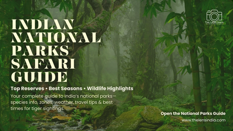 Indian National Parks Safari Guide: Top Reserves, Best Seasons, Zones & Wildlife Highlights
