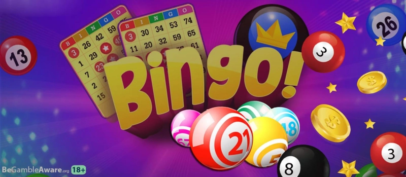 Beginner to get aware with best new bingo sites gambling