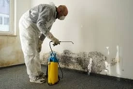 Top benefits of mould cleaning in Brisbane