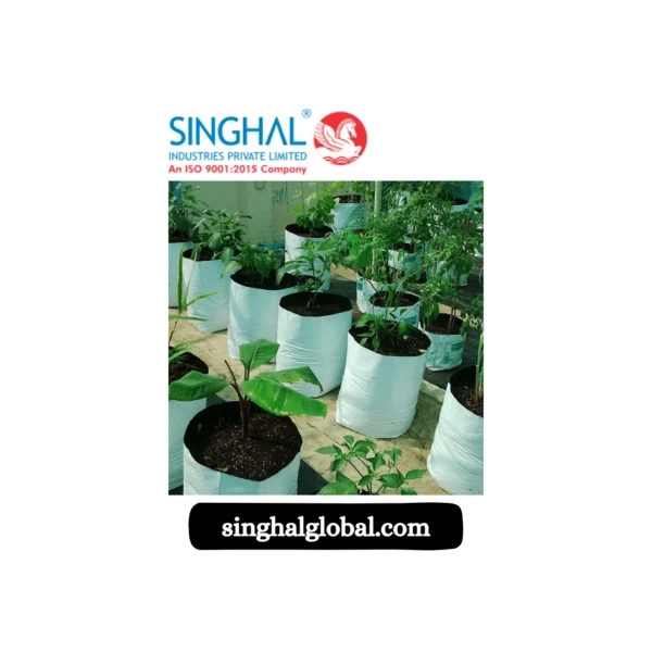 Grow Bags 101: The Essential Guide to Successful Container Gardening