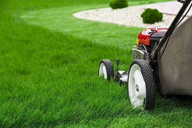 Where Can You Find the Best Lawn Care Service?