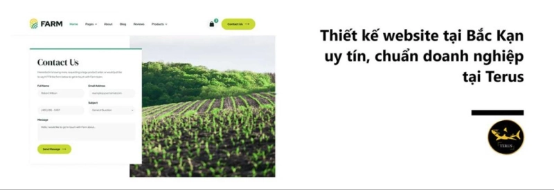 Thiết Kế Website Tại Bắc Kạn Chuyên Nghiệp