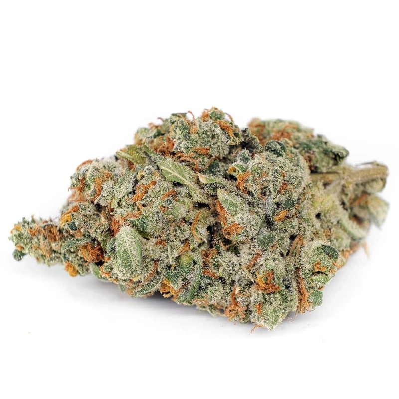 Wholesale dispensary supplies can make your day by giving you the right results.