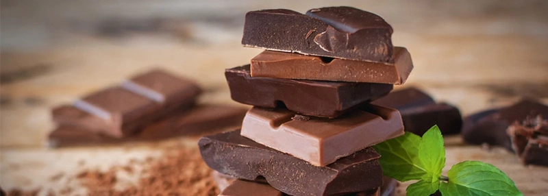 Vegan Chocolate Market Share 2023 | Industry Size, Growth and Forecast 2028