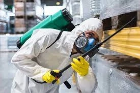 A Comprehensive Guide to Pest Control in Mississauga: Tips and Strategies
