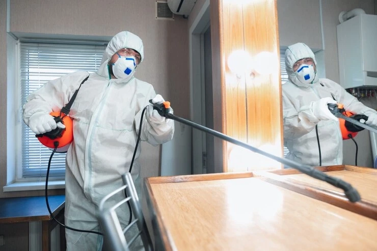 The Value Of Pest Control: Unveiling The Benefits Of Professional Services