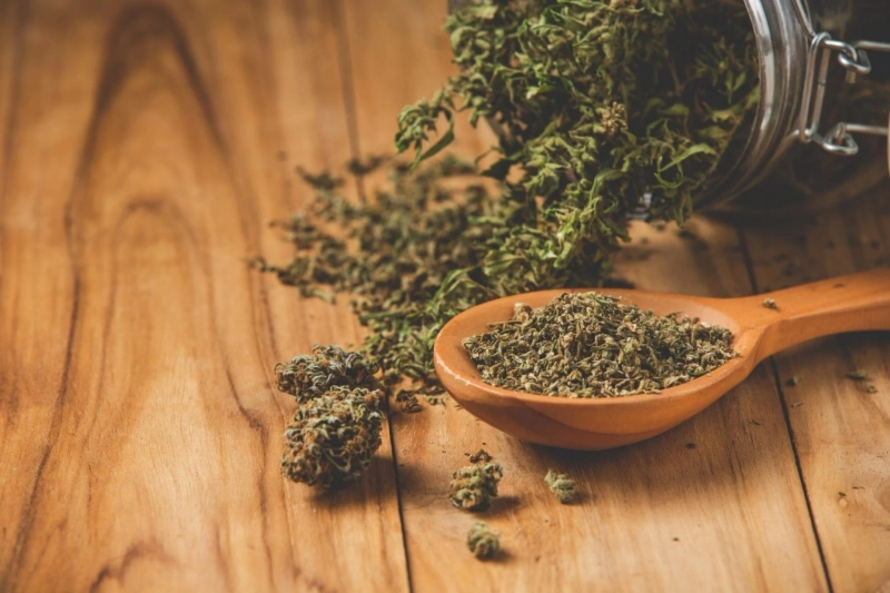 What Are the Top Ways to Store Black Gorilla Strain for Maximum Freshness?