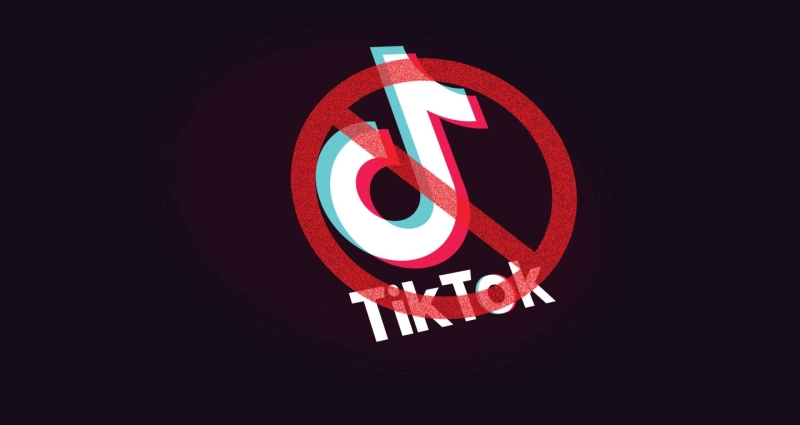 TikTok has filed a lawsuit against Trump over the ban. Point to being accused without evidence