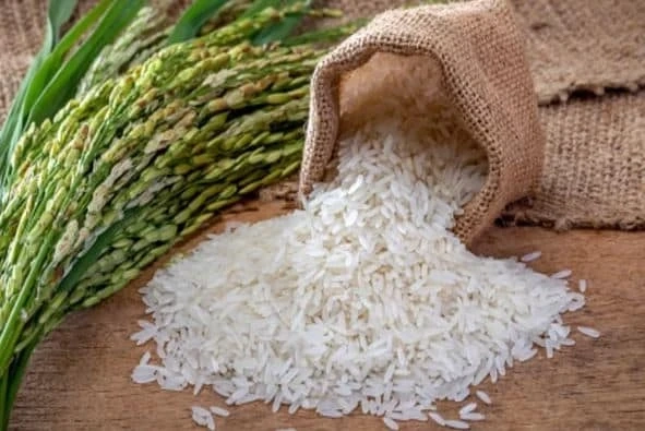 Exploring the Legacy of Basmati Rice Exporters in India