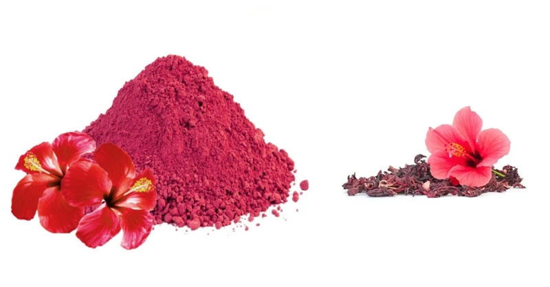Hibiscus Flower Powder Market Industry Trends, Size, Demand, Statistics and Forecast Till 2027
