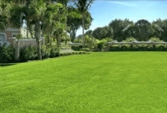 6 Lawn Mowing Tips