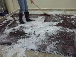 Eco-Friendly Rug Washing Services in  Southeastern Michigan – Safe for Home & Family