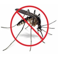 Mosquito Control & Prevention Services: Enjoy a Bite-Free Haven