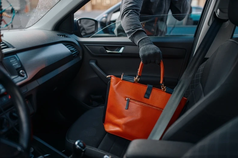 Other Types Of Theft Crimes That A Theft Lawyer Should Know
