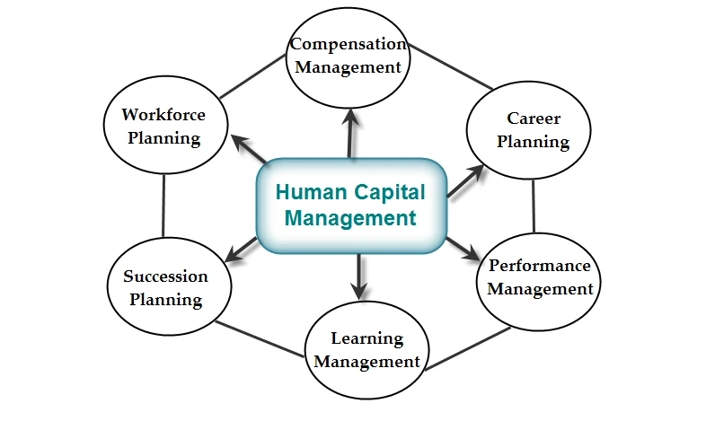 Future Growth Prospects: Human Capital Management Market Size and Forecast with Major Players (2023-2032)