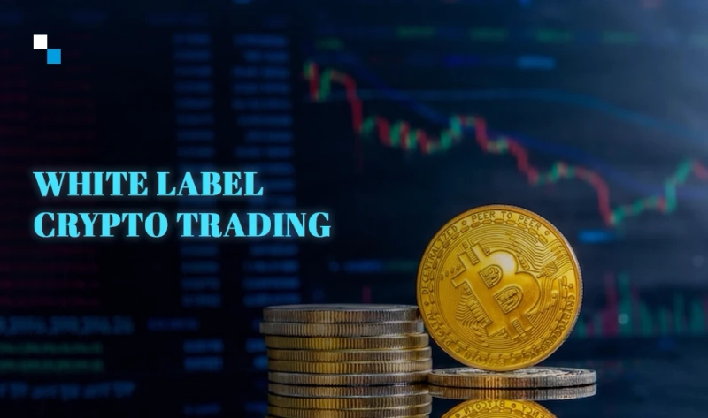 Features to seek in a white label cryptocurrency exchange