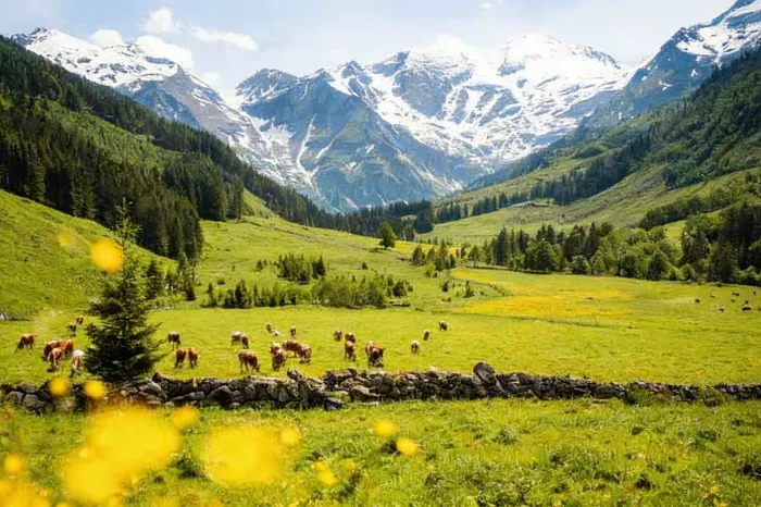 11 Best Hiking Trails in Austria for April Adventurers