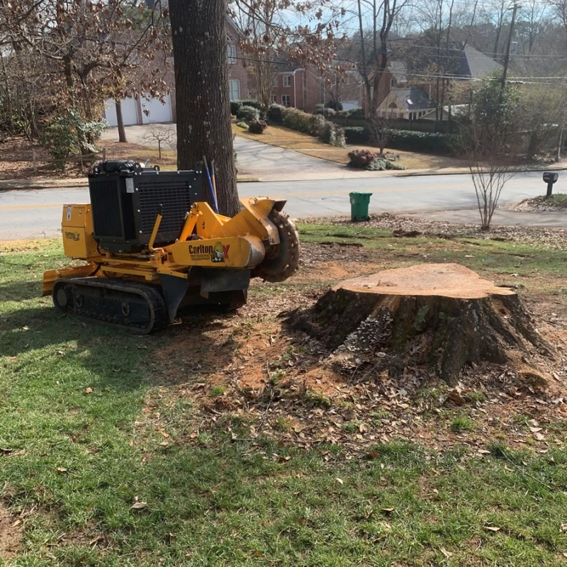 Improve Safety and Space with Stump Removal Lilburn