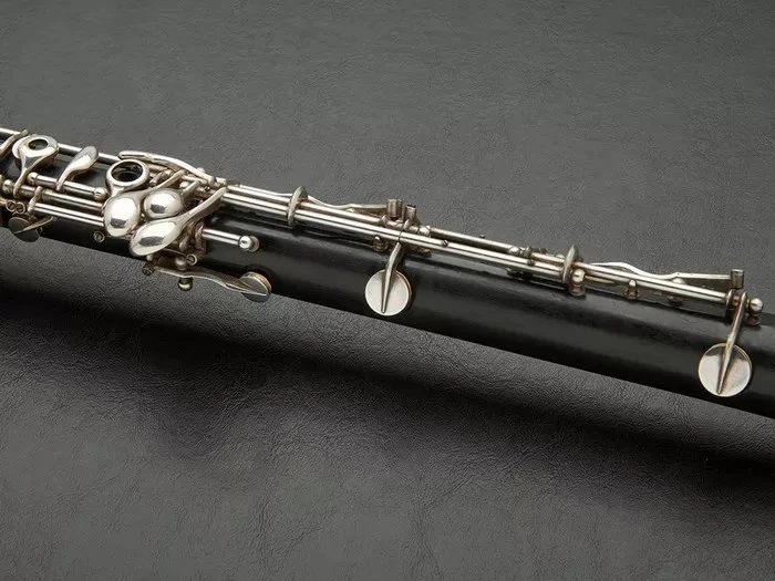 Why Is the English Horn Considered Essential in Orchestral Repertoire?