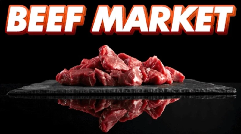 Beef Market Size, Share, Industry Trends & Report Analysis, 2032