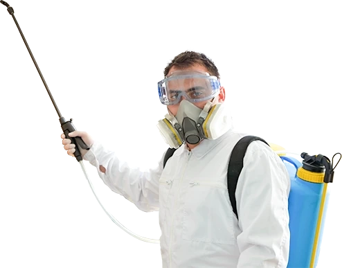 Mice And Rats Can Make Life Miserable For You, How?