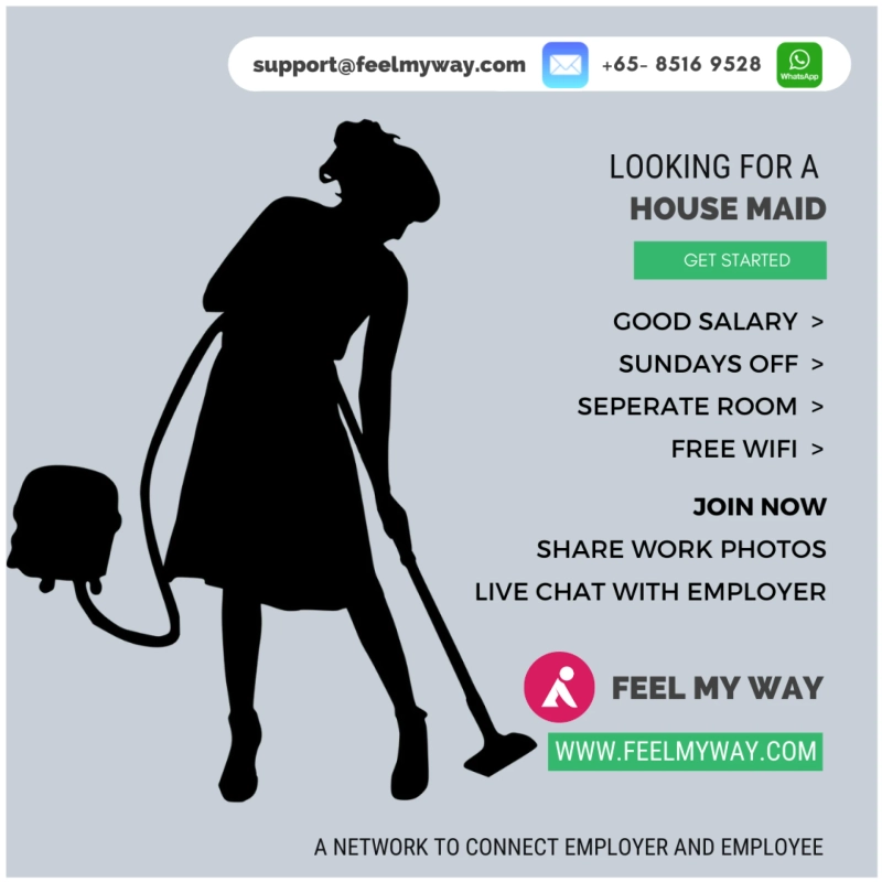 The Function of Foreign Domestic Helpers in Singaporean Homes: Domestic Helpers in Singapore