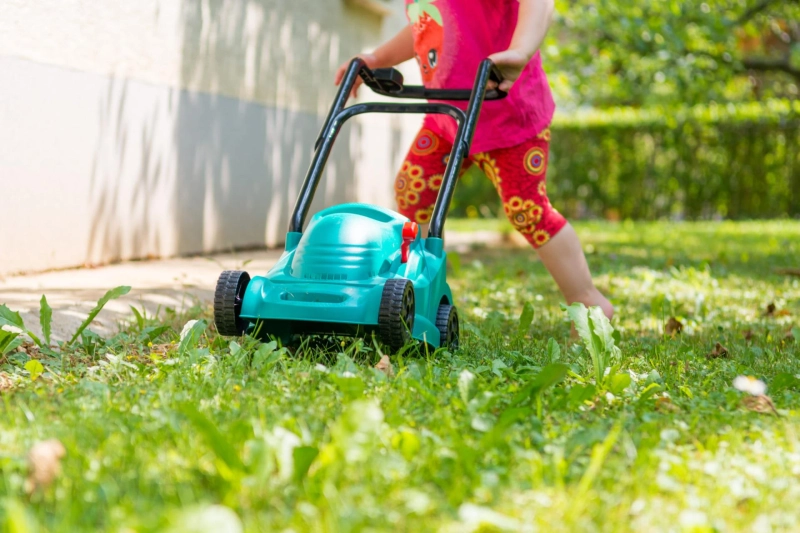 What Is the Best Inexpensive Riding Lawn Mower?