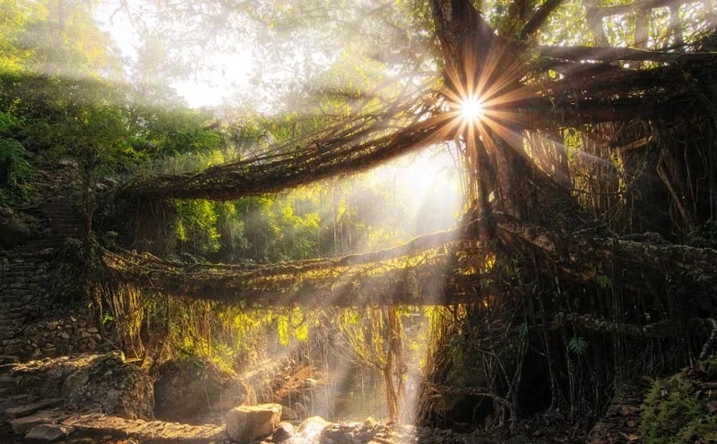 Shillong Package Tour from Guwahati - IN BEST PRICE !!!