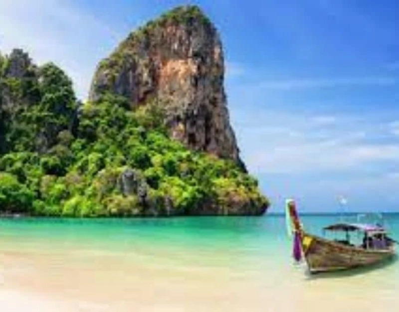 medical Tourism
