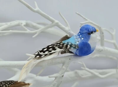 Pure Feather Aviary: A Celebration of Fall Colors and Birds