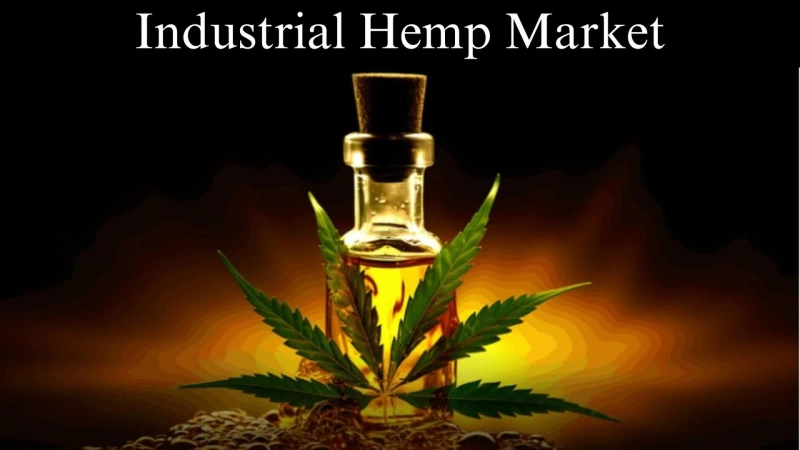 Industrial Hemp Market Size and Growth Trends by 2032