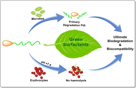 Global Green Surfactants Market Size, Share & Trends Analysis Report 2034