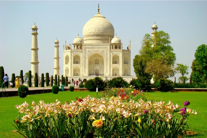 A Day with the Wonder of the World: Same Day Taj Mahal Tour from Delhi