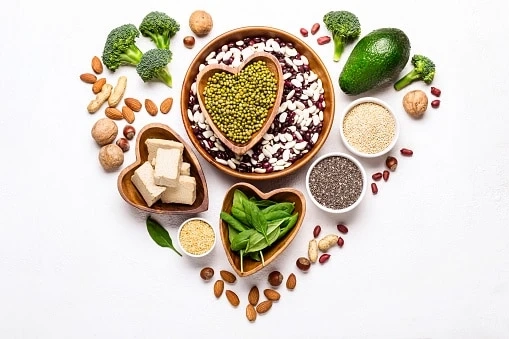 Global Plant Protein Ingredients Market to Witness Increased Revenue Growth Owing to Rapid Increase