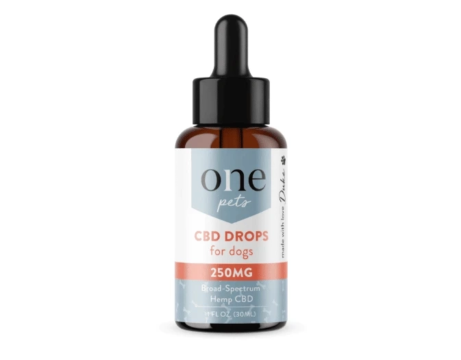 5 Reasons for Buying Organic Pet CBD Drops for Your Furry Friend