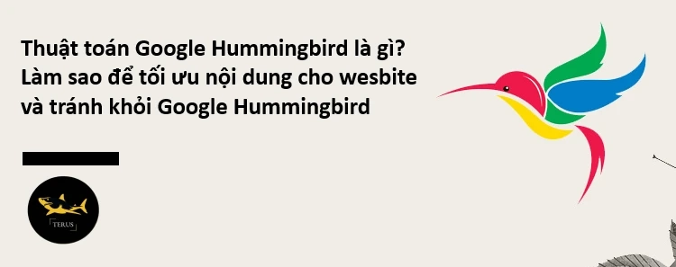 Cách Để Tối Ưu Nội Dung Website Theo Thuật Toán Google Hummingbird