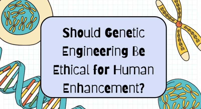 Should Genetic Engineering Be Ethical for Human Enhancement?