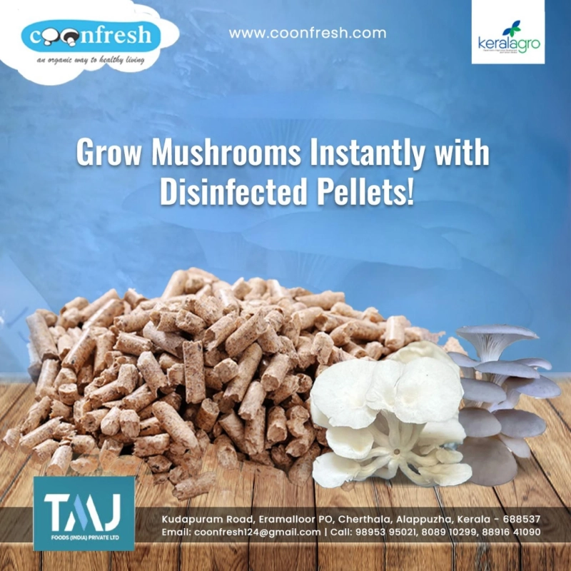 Mushroom Cultivation in Kerala