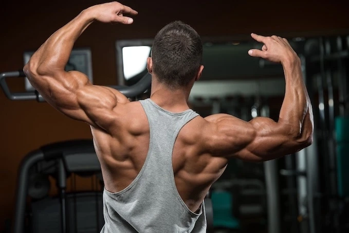 Should You Buy Ultima-Anomass 400 Mix to Develop Muscles?