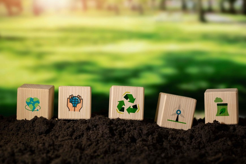The Essentials of Sustainability Reporting: What Every Business Should Know