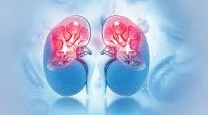 Is low kidney Function (eGFR) a Sign of kidney Failure? | Zyla Health