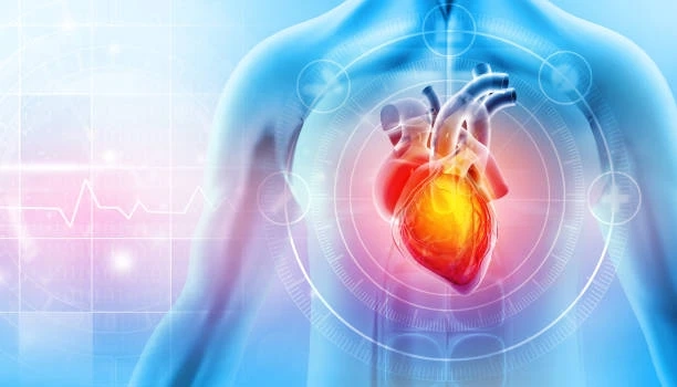 What Is a Cardiac Second Opinion—and Why It Could Save Your Life