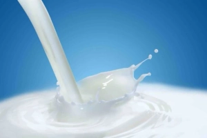 Milk Depot: Revolutionizing Fresh Milk with Innovation