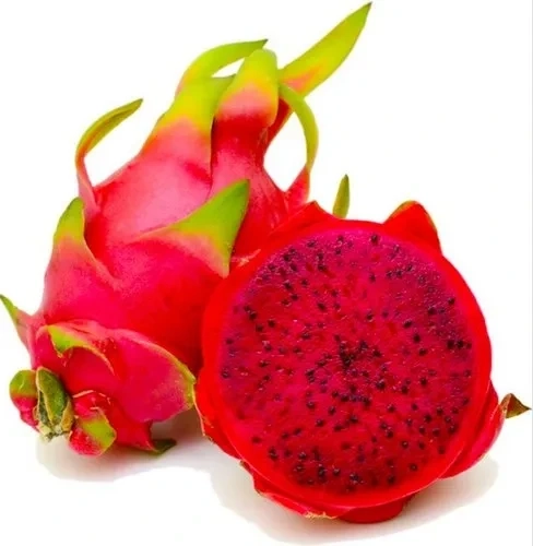 Exploring the Potential Side Effects of Dragon Fruit